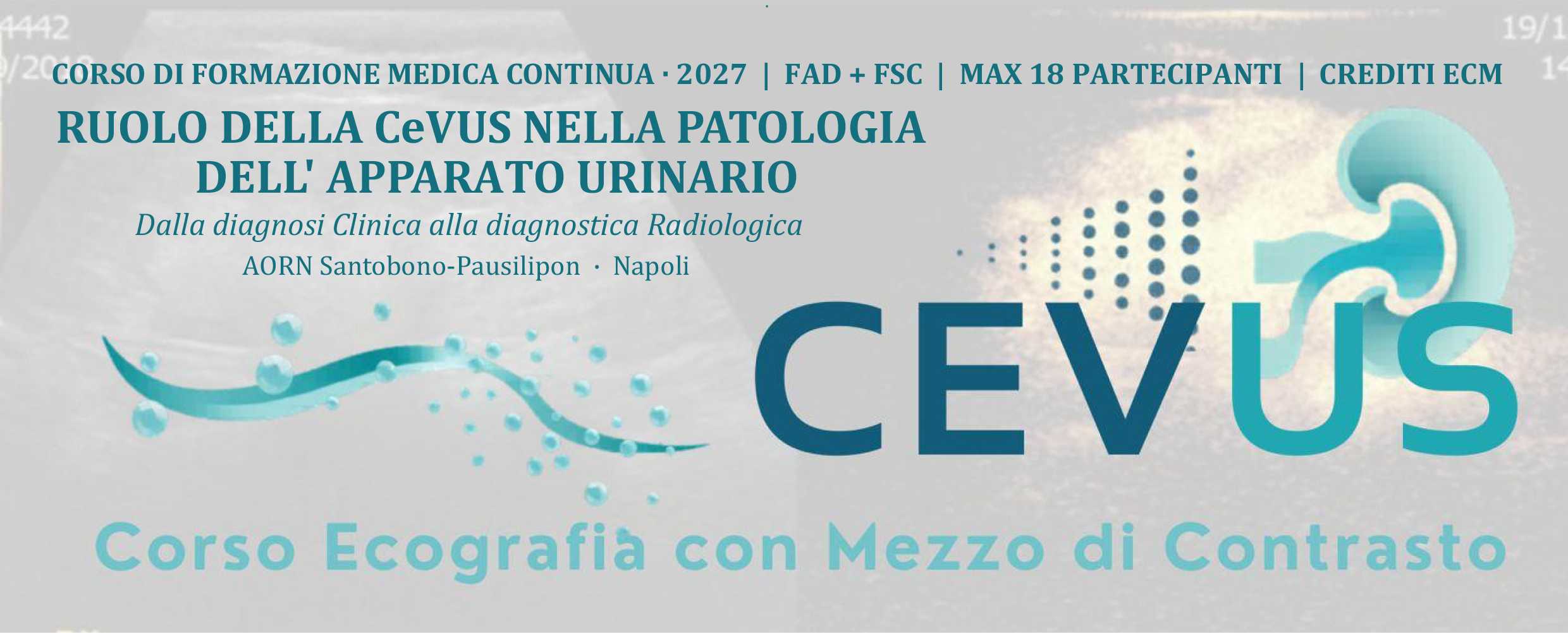 RUOLO DELLA CEVUS NELLA PATOLOGIA APPARATO URINARIO: DALLA DIAGNOSI CLINICA ALLA DIAGNOSTICA RADIOLOGICA